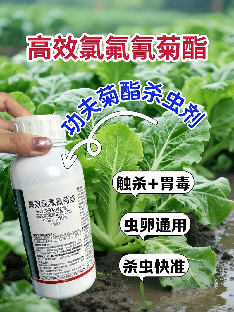 东城代生中心:农药对供卵代生妈妈的危害